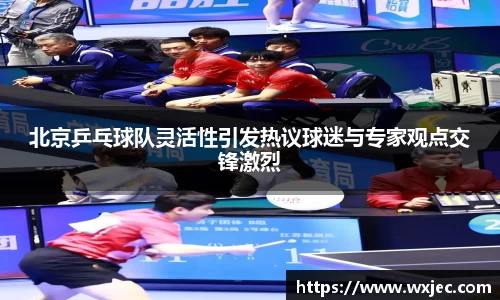 北京乒乓球队灵活性引发热议球迷与专家观点交锋激烈